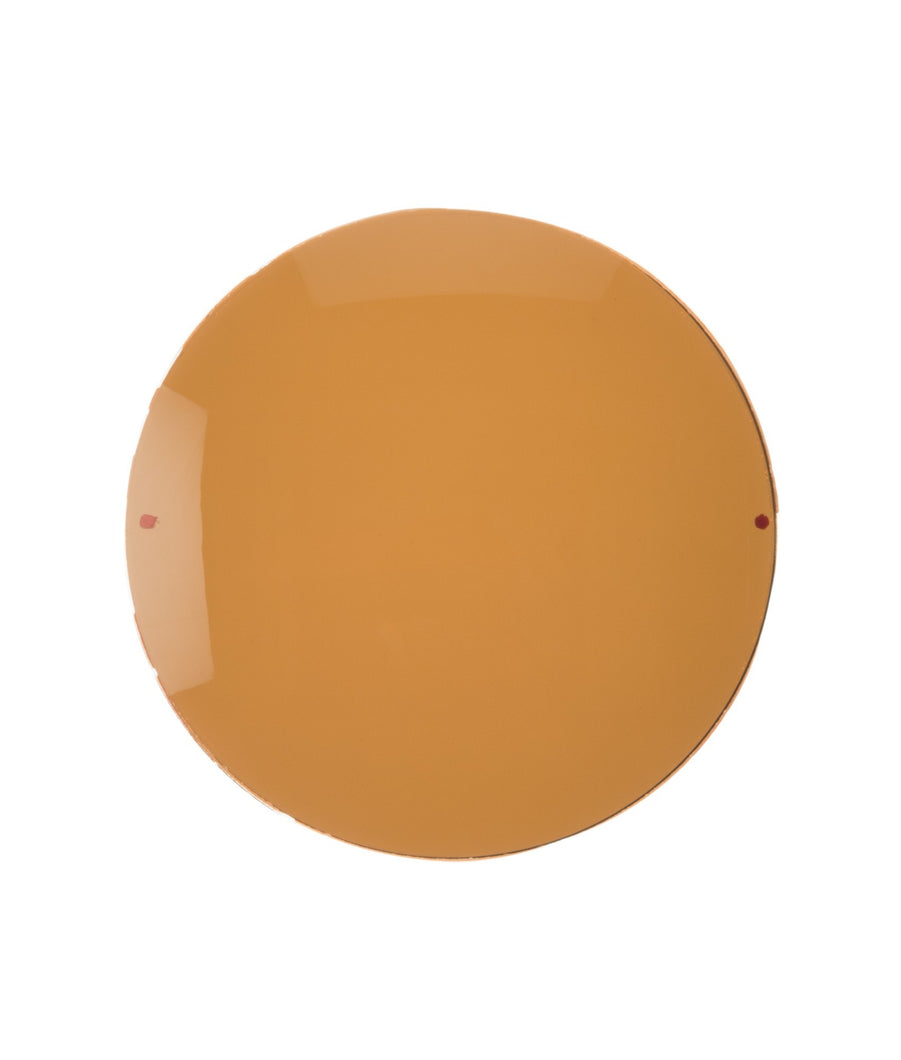 BROWN POLARIZED