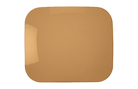 BROWN: POLARIZED POLYCARBONATE WITH BACKSIDE ANTIFOG - L7910-BRNAF